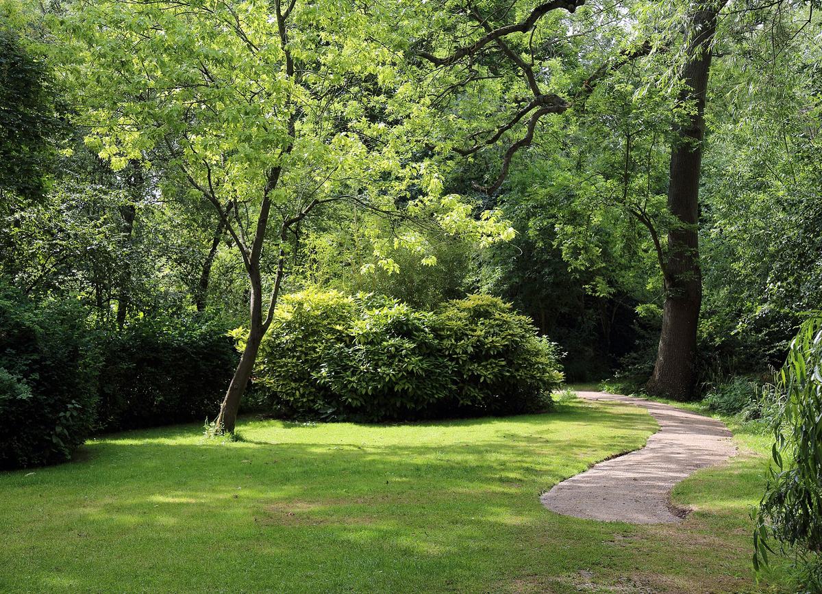 Een gebogen pad door een groen gazon, met heesters en bomen in de zon